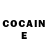 COCAIN Fish Scale Irina Solodukha