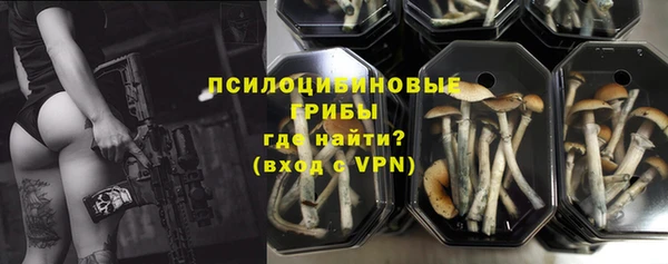 гашик Ладушкин