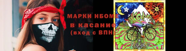 гашик Ладушкин