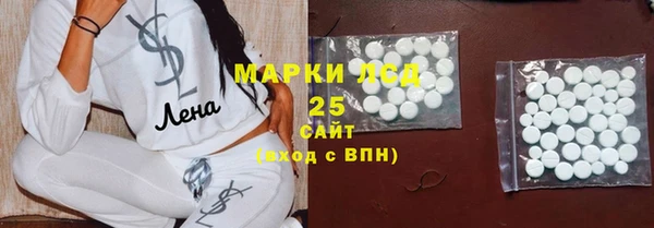 гашик Ладушкин
