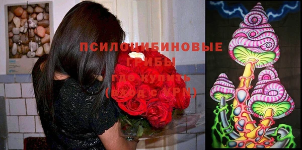 соль ск Лагань