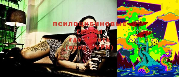 mdpv Лабытнанги