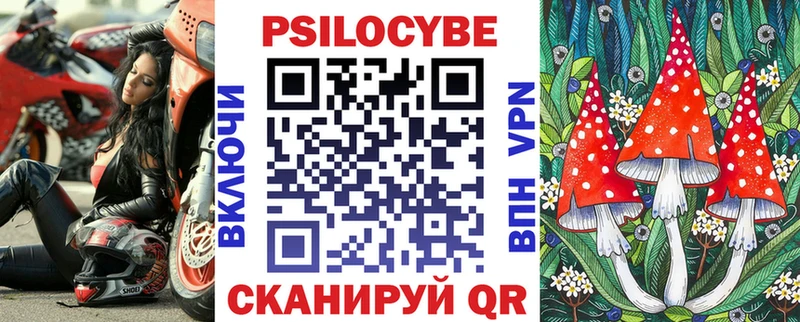 Купить  Куртамыш  Галлюциногенные грибы мицелий 